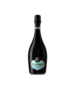 Quinta Colinas de São Lourenço Espumante Colina Blanc de Blancs 2013 1,5lts