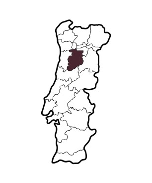 Quinta do Sobral Moscatel Galego White Wine Dão