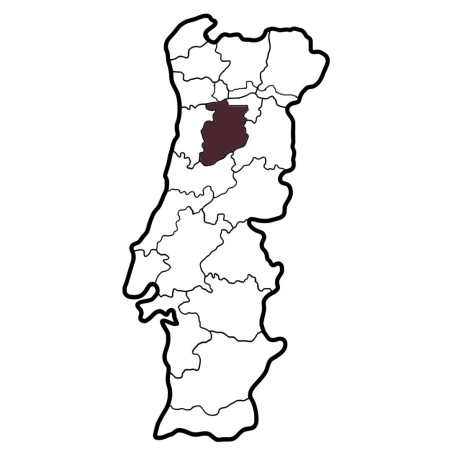 Quinta do Sobral Moscatel Galego White Wine Dão