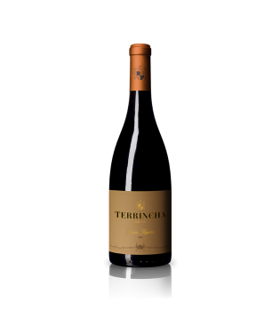 Terrincha Red Wine Douro Superior 2019