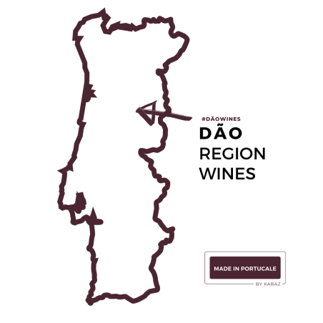 Quinta do Sobral Curtimenta White Wine 2023 100% Encruzado
