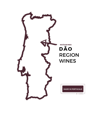 Quinta do Sobral Vinho Tinto Jaen 2021 Dão