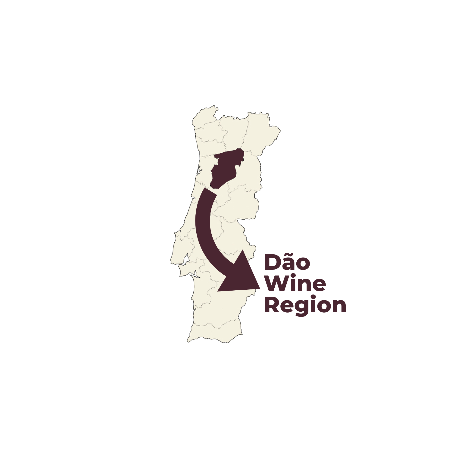 Quinta do Sobral Vinho Branco Malvasia Fina 2022 Dão